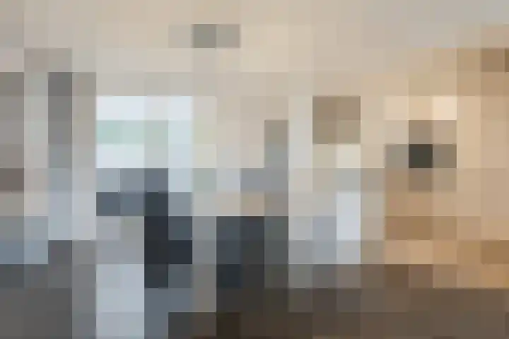 Bingelradestraat 21 Tilburg thumbnail 5
