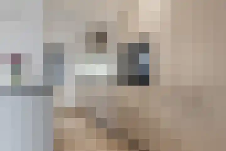 Bingelradestraat 21 Tilburg thumbnail 7