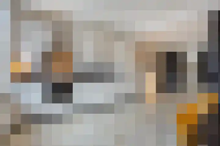 Bingelradestraat 23 Arnhem thumbnail 11