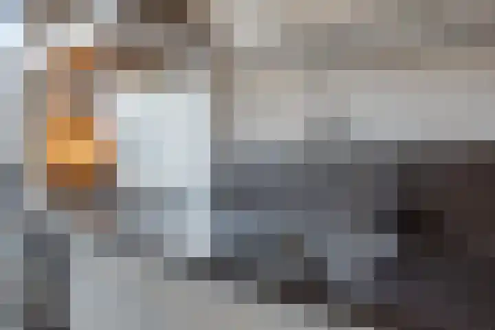Bingelradestraat 23 Arnhem thumbnail 12