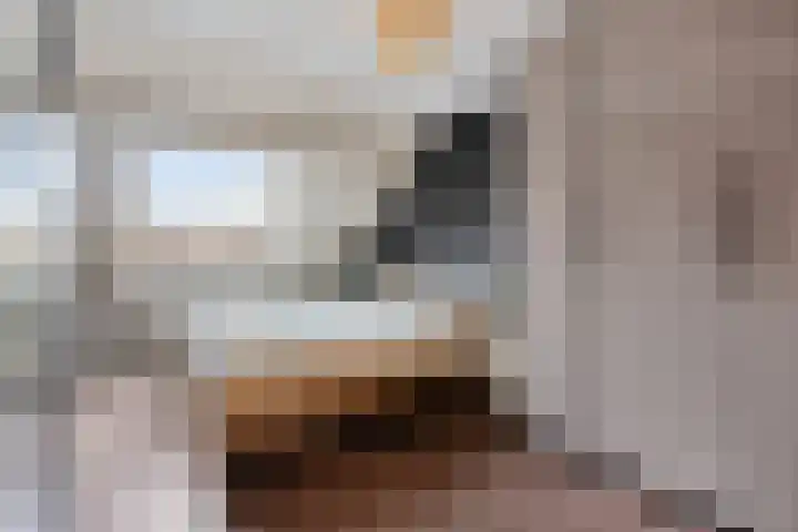 Bingelradestraat 23 Arnhem thumbnail 15