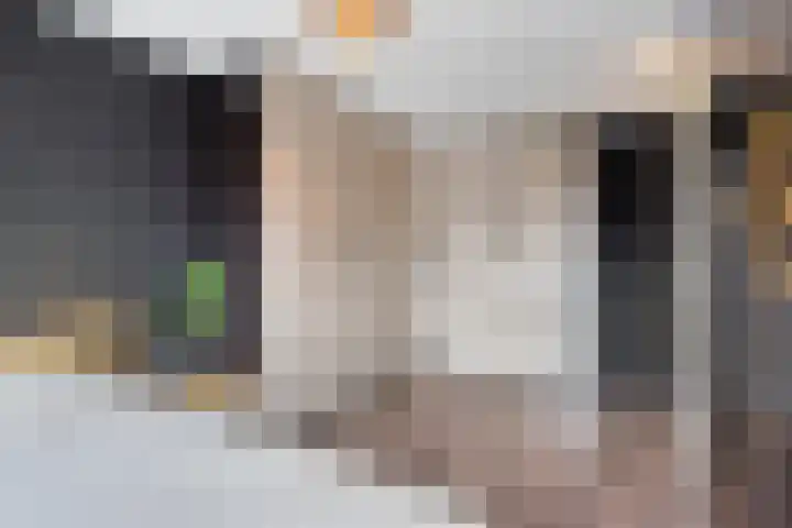 Bingelradestraat 23 Arnhem thumbnail 16
