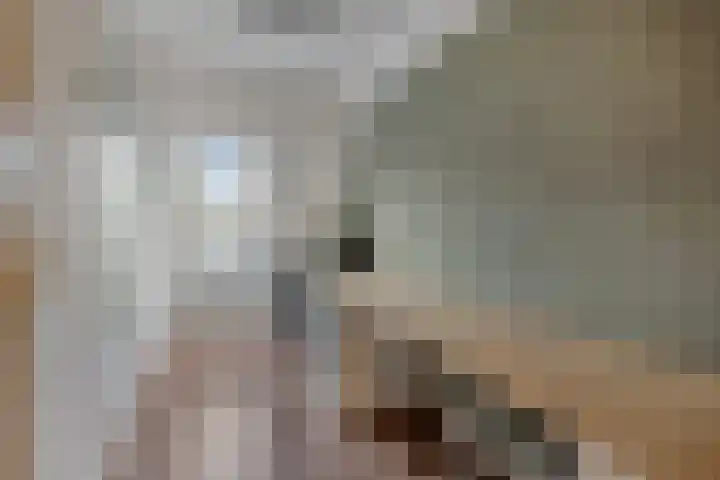 Bingelradestraat 23 Arnhem thumbnail 20