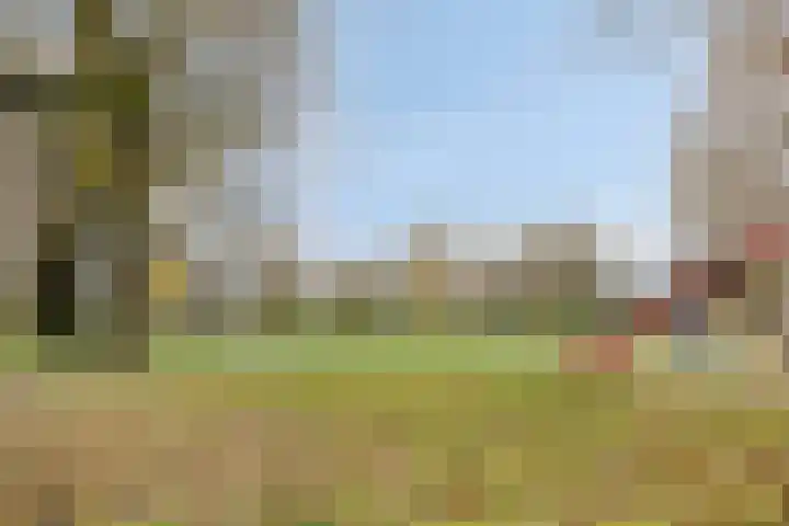 Bingelradestraat 23 Arnhem thumbnail 26