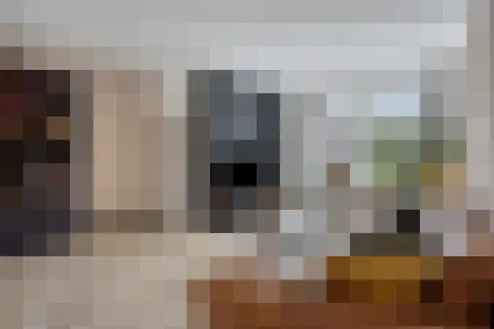 Bingelradestraat 23 Arnhem thumbnail 7