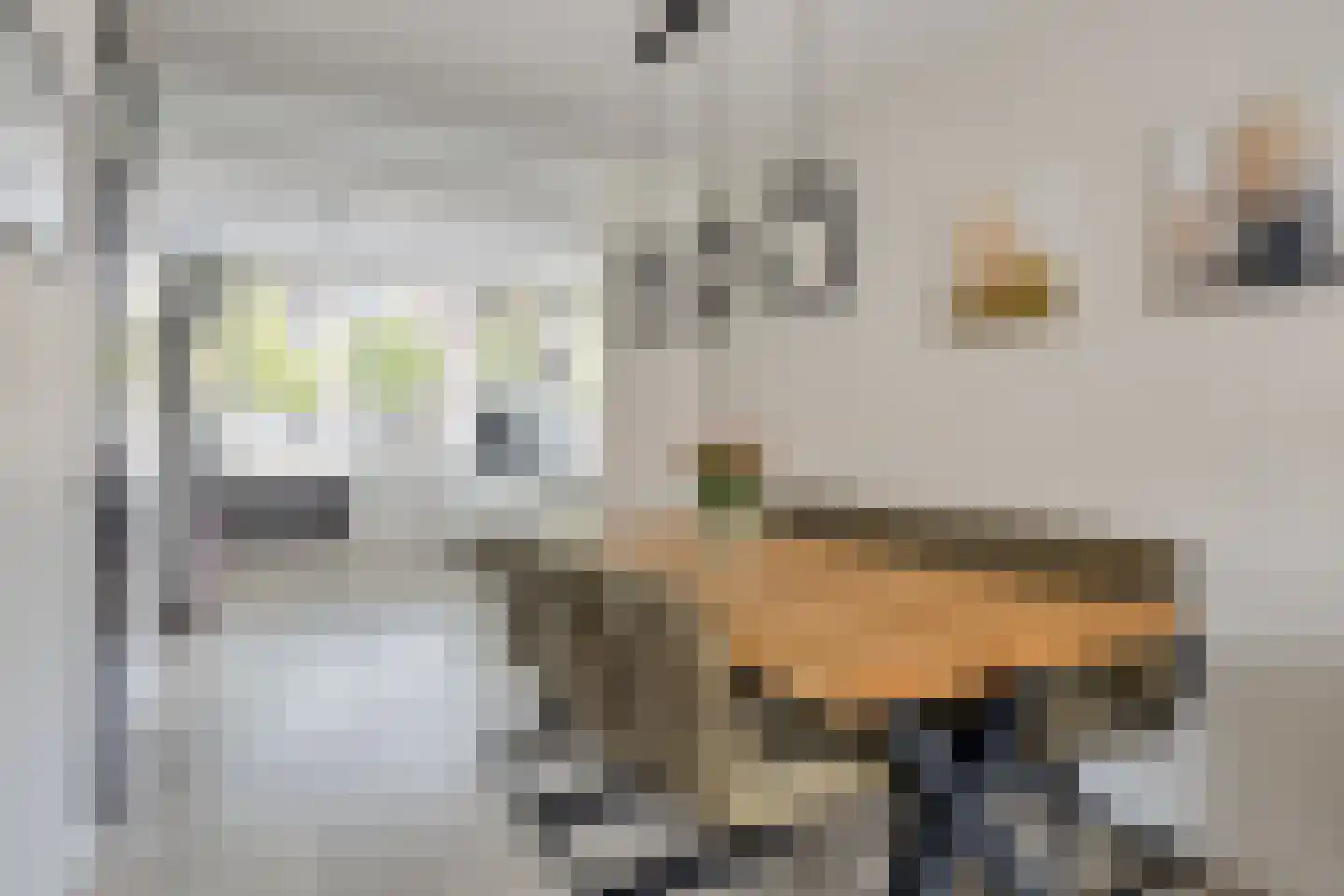 Bingelradestraat 25 Arnhem thumbnail 12