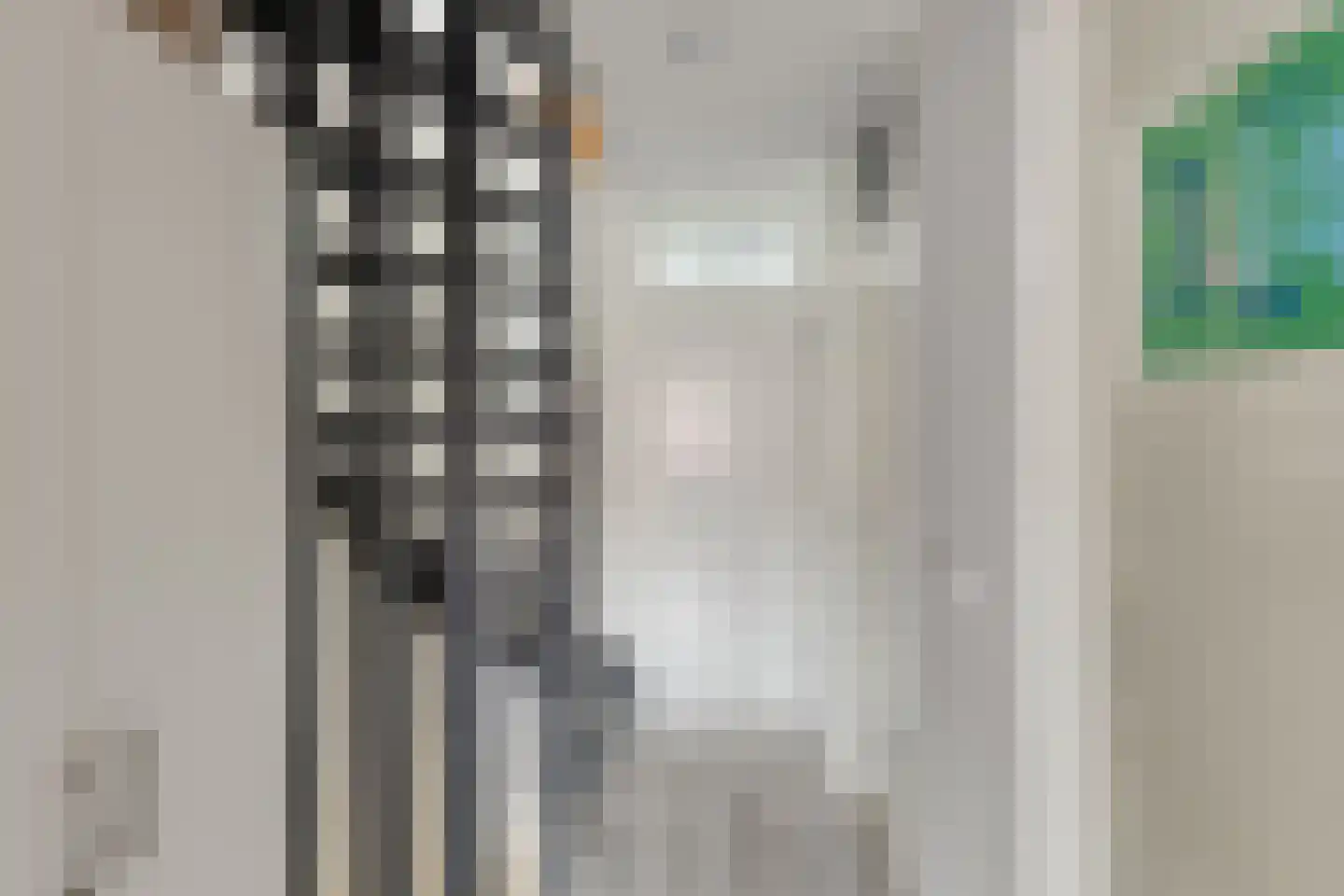 Bingelradestraat 25 Arnhem thumbnail 28