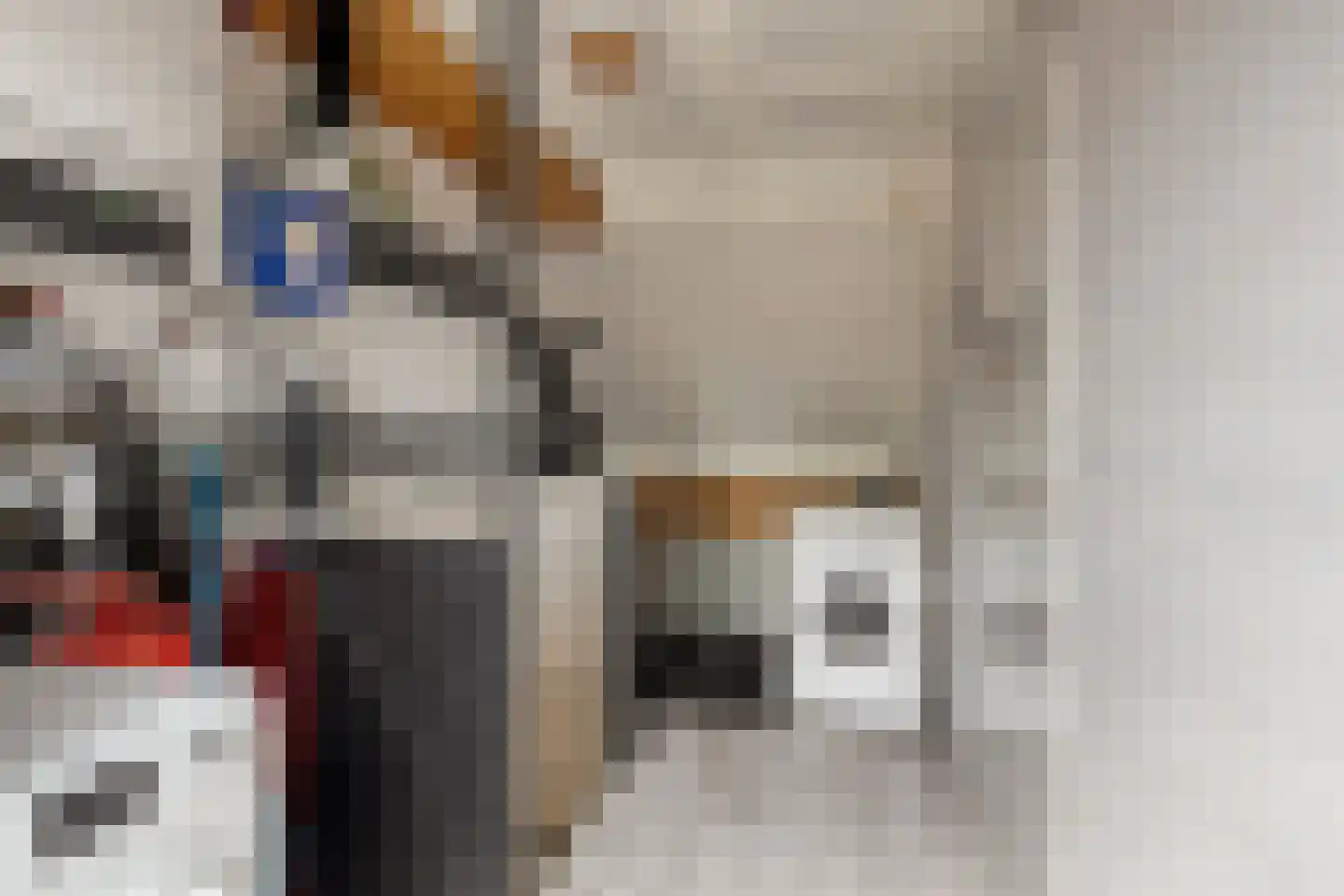 Bingelradestraat 25 Arnhem thumbnail 40