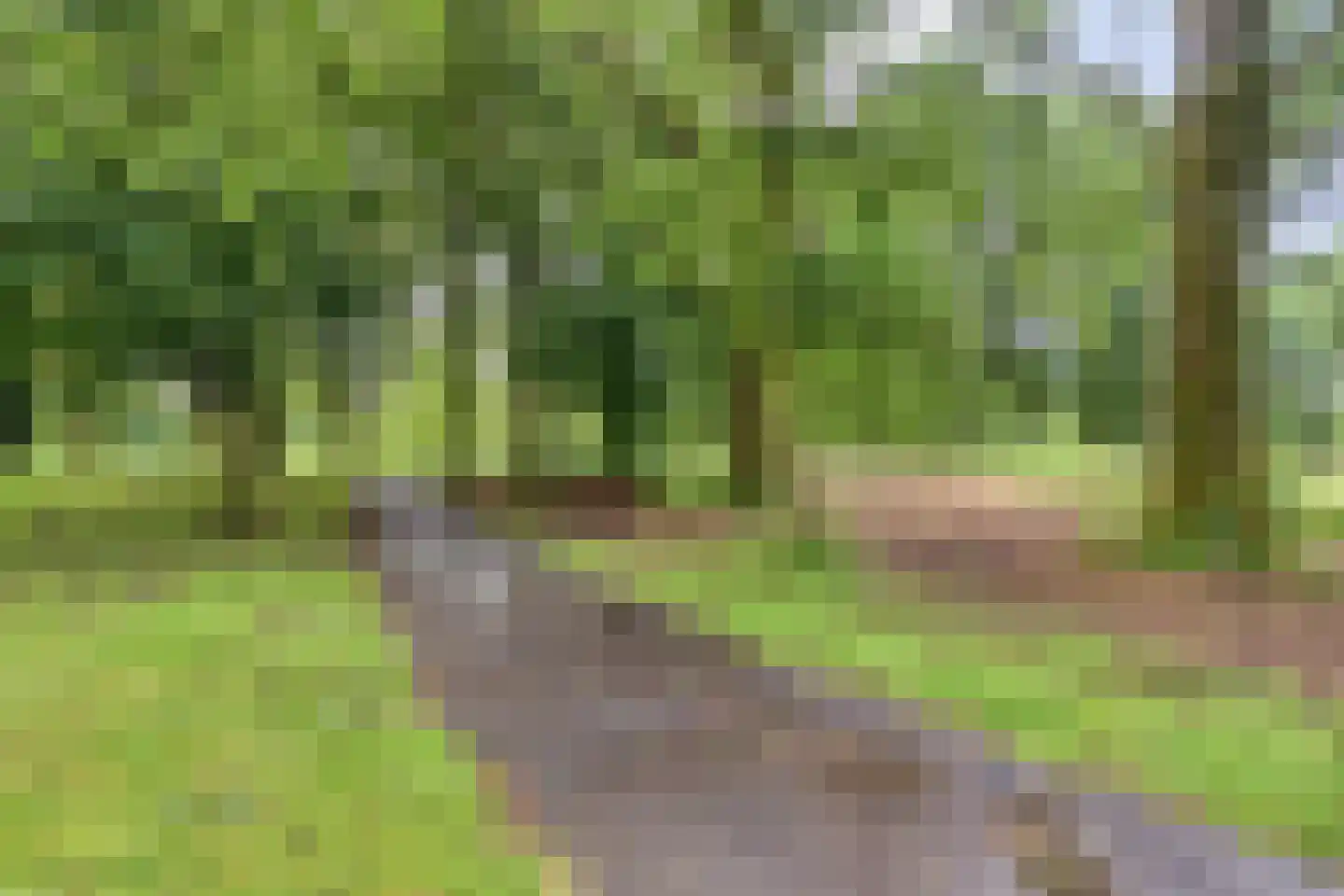 Bingelradestraat 25 Arnhem thumbnail 48