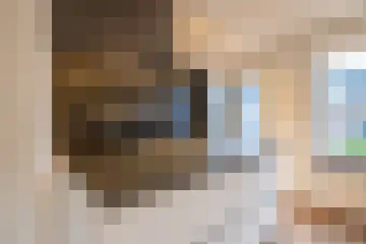 Bingelradestraat 26 Tilburg thumbnail 10