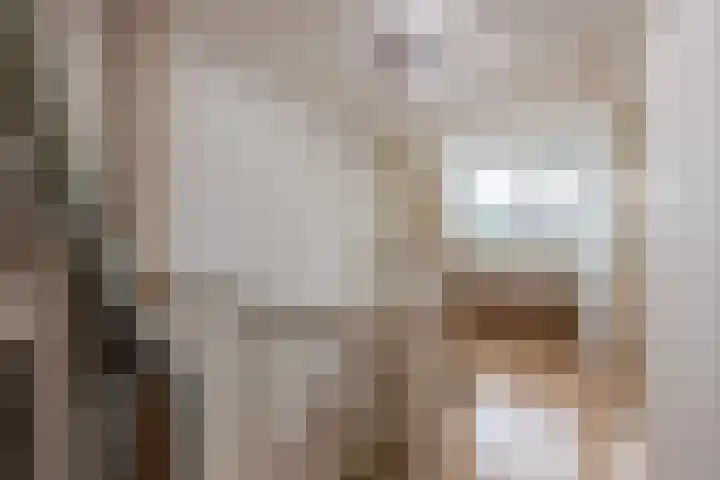 Bingelradestraat 26 Tilburg thumbnail 20