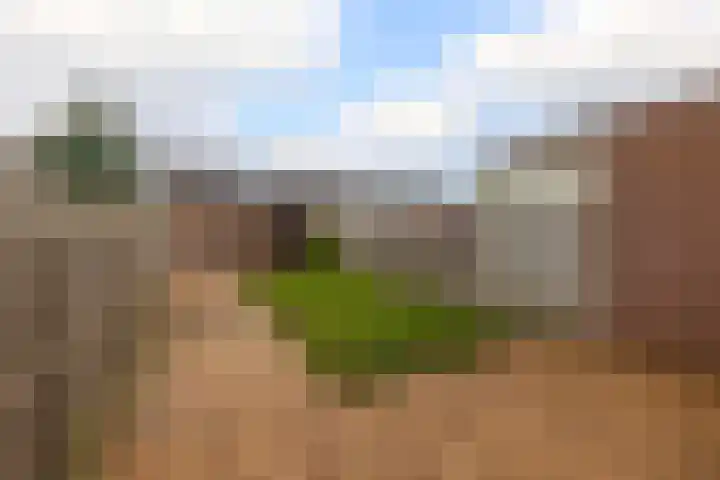 Bingelradestraat 26 Tilburg thumbnail 23