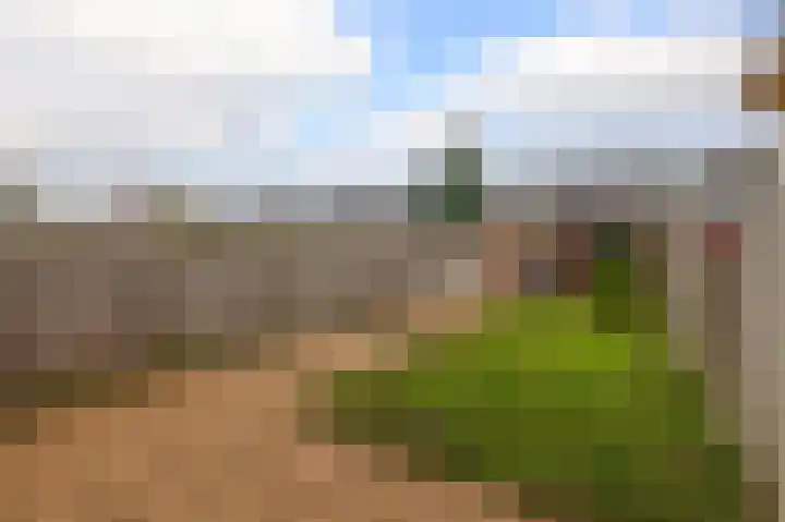 Bingelradestraat 26 Tilburg thumbnail 24