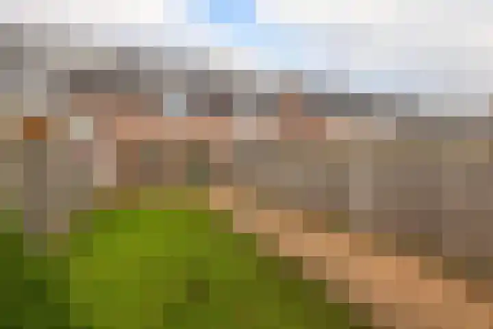 Bingelradestraat 26 Tilburg thumbnail 4