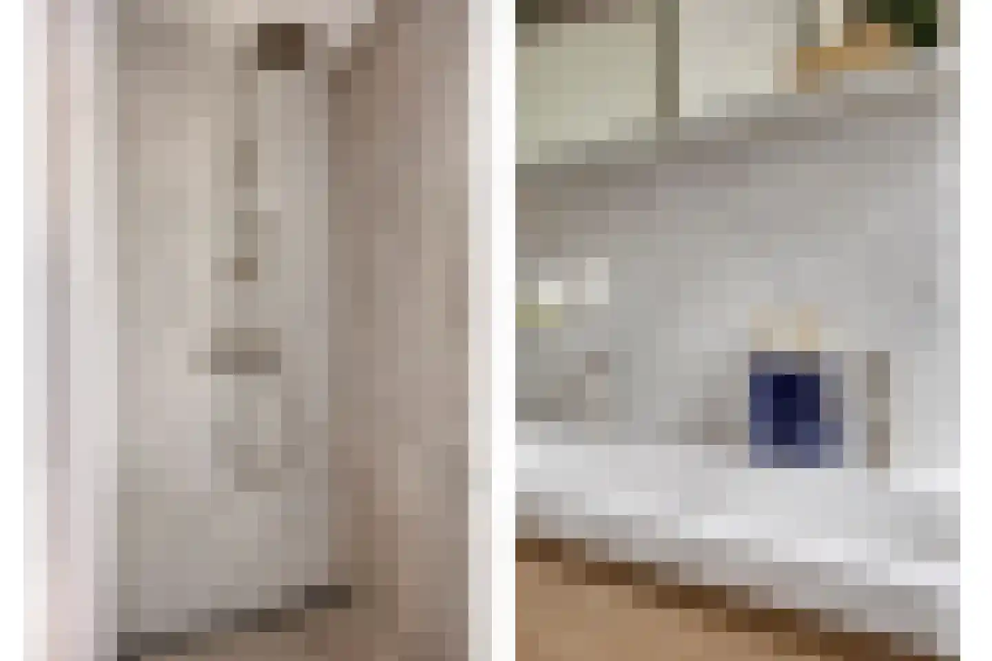 Bingelradestraat 43 Tilburg thumbnail 30