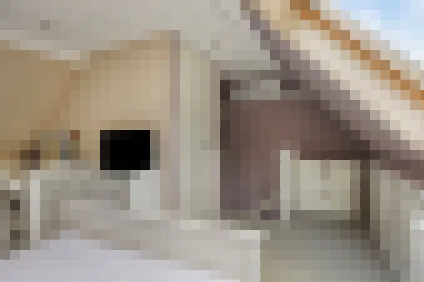 Bingelradestraat 43 Tilburg thumbnail 37