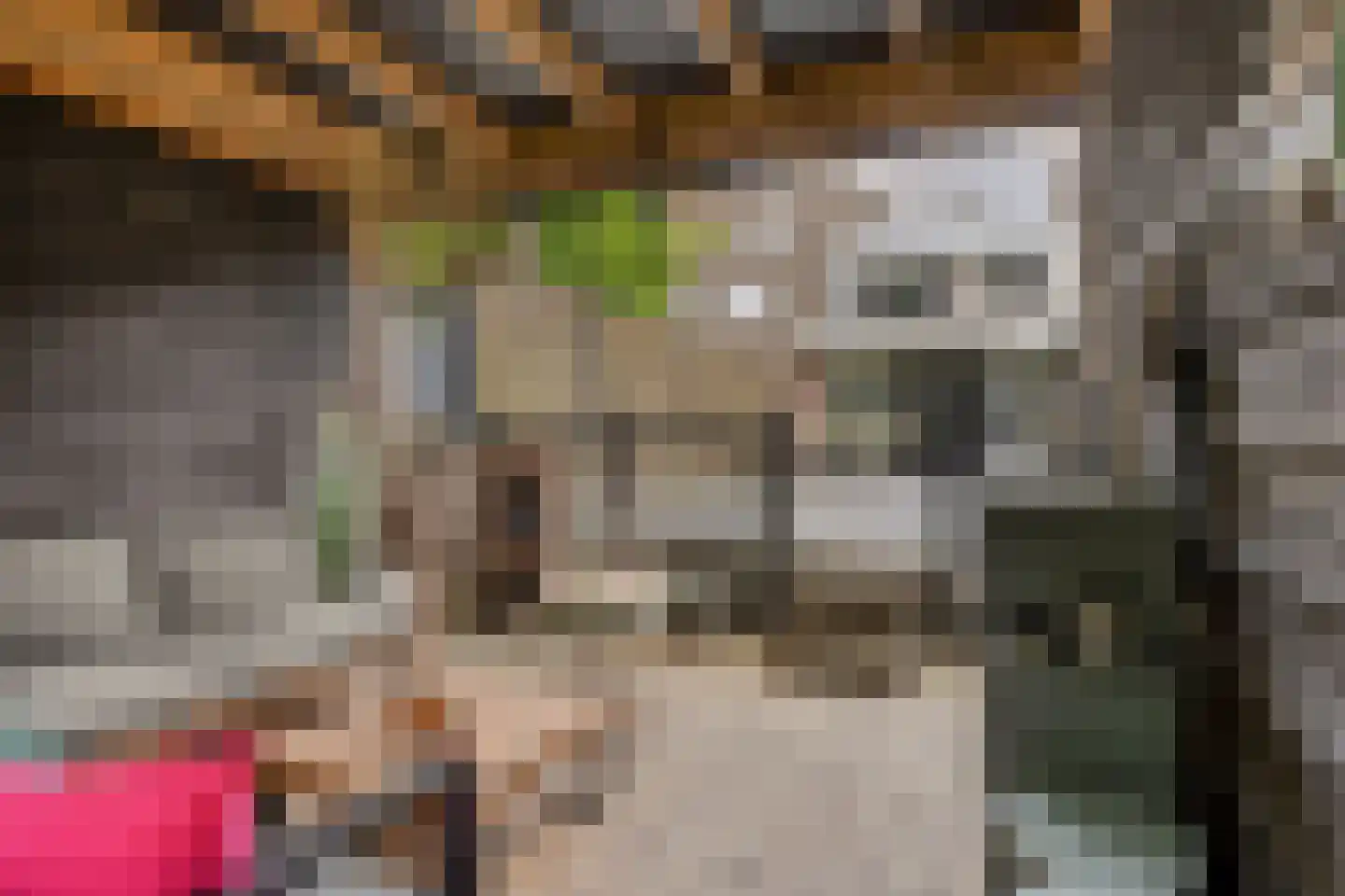 Bingelradestraat 43 Tilburg thumbnail 42