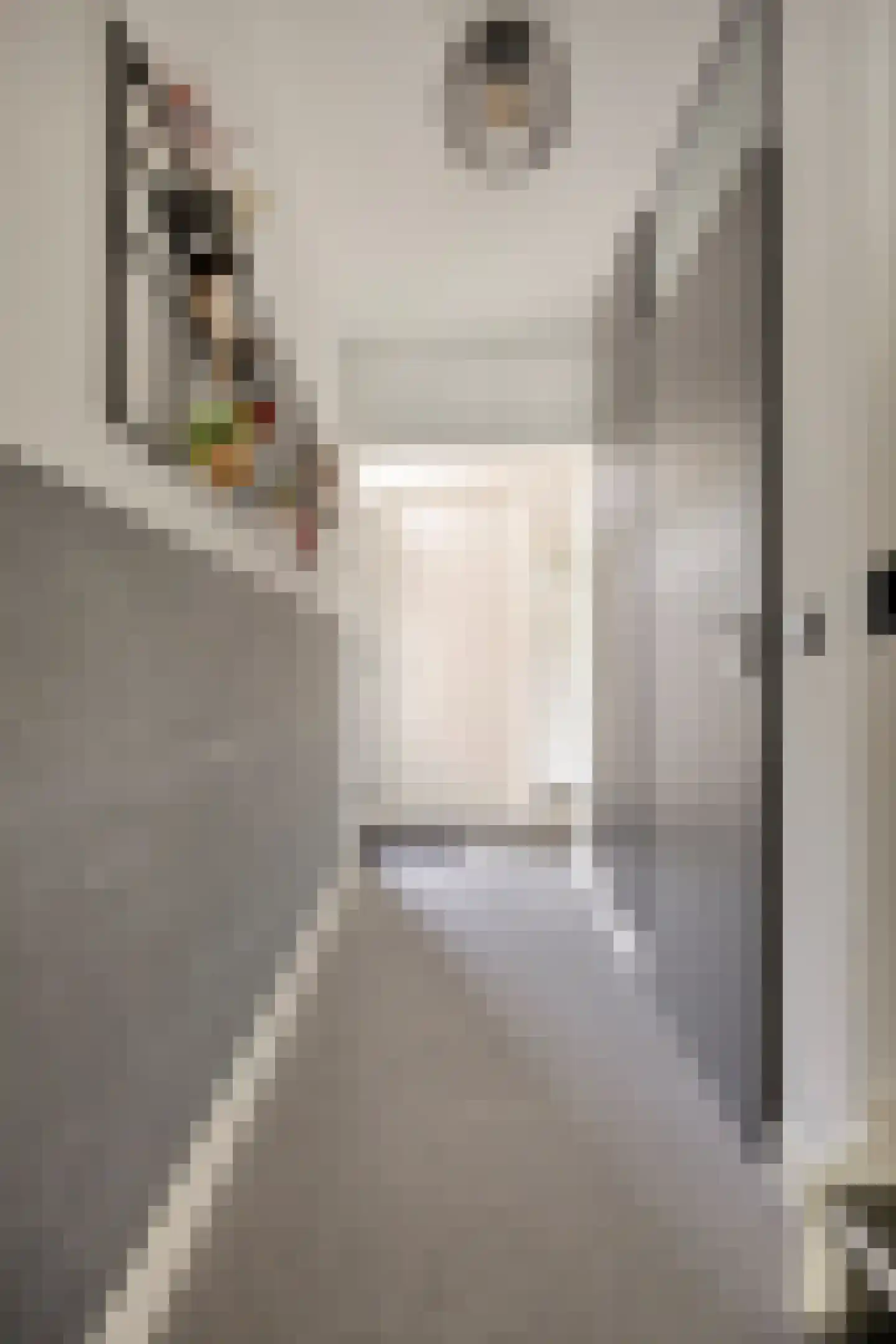 Bingelradestraat 43 Tilburg thumbnail 8