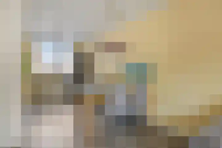 Bingelradestraat 77 Tilburg thumbnail 15