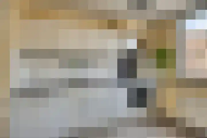 Bingelradestraat 77 Tilburg thumbnail 17