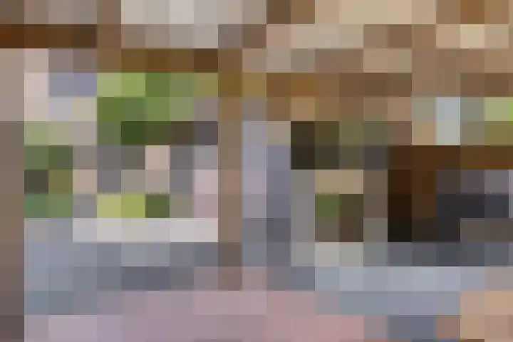 Bingelradestraat 77 Tilburg thumbnail 31