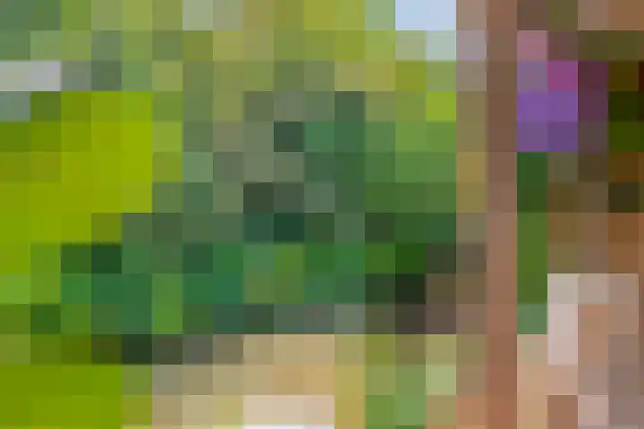 Bingelradestraat 77 Tilburg thumbnail 33