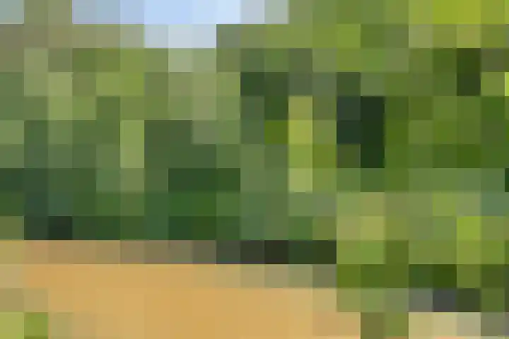 Bingelradestraat 77 Tilburg thumbnail 34
