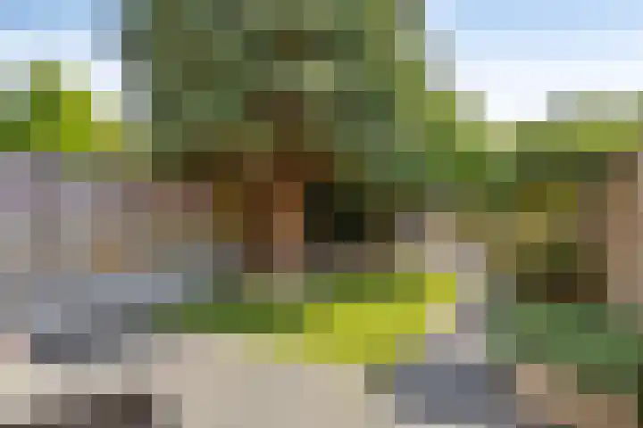 Bingelradestraat 77 Tilburg thumbnail 4