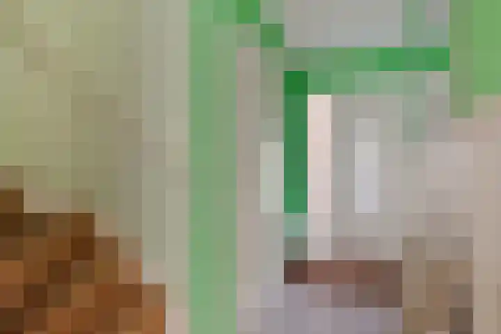 Bingelradestraat 77 Tilburg thumbnail 8