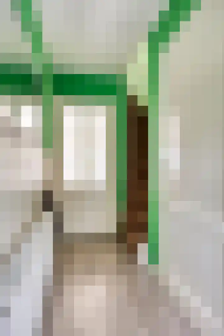 Bingelradestraat 77 Tilburg thumbnail 9