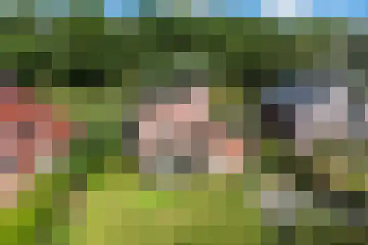 Bingerden 17 Lelystad thumbnail 35