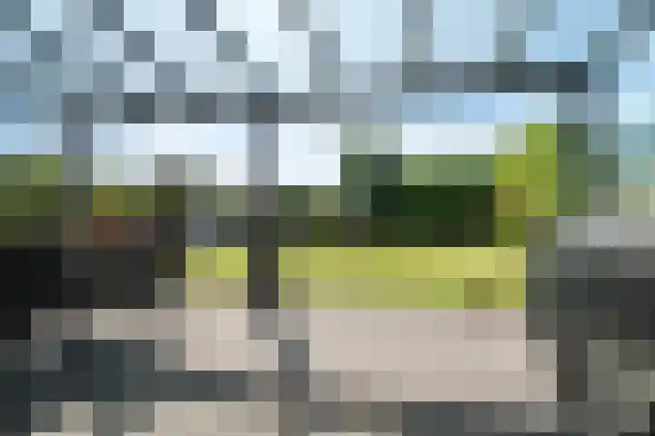 Bingerden 17 Lelystad thumbnail 39