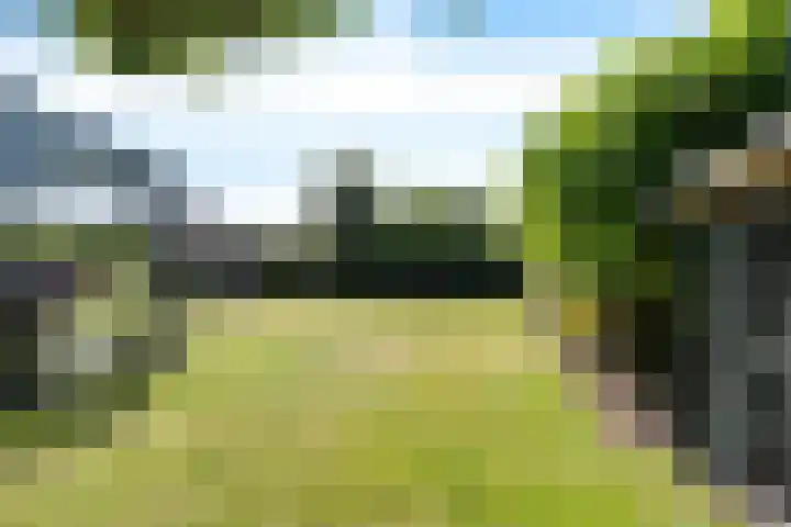 Bingerden 17 Lelystad thumbnail 40