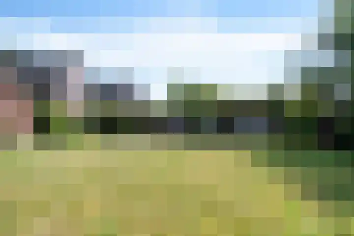 Bingerden 17 Lelystad thumbnail 41