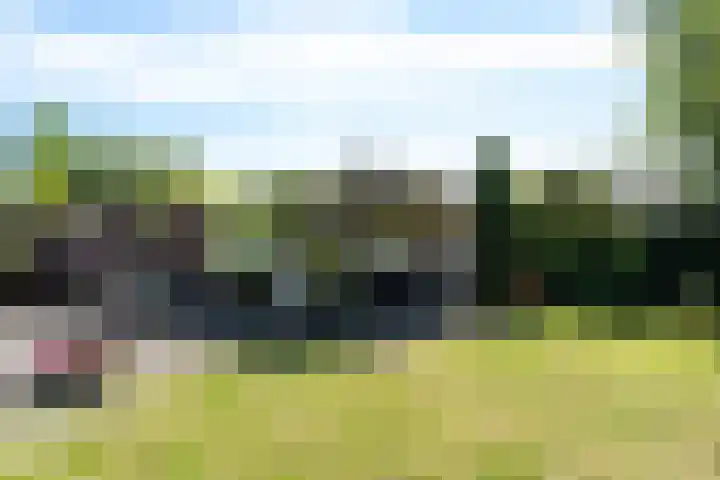 Bingerden 17 Lelystad thumbnail 42