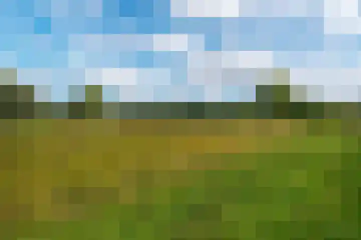 Bingerden 17 Lelystad thumbnail 49
