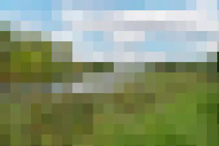 Bingerden 17 Lelystad thumbnail 51