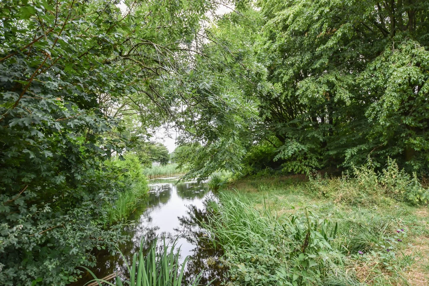 Bingerden 17 's-Hertogenbosch thumbnail 28