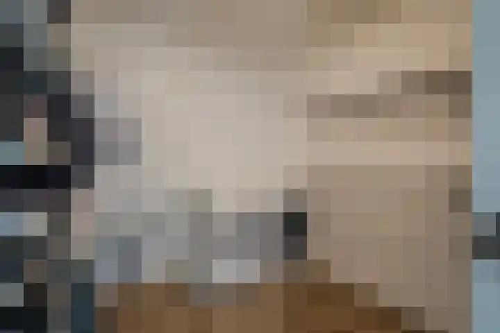 Bingerdenallee 118 Duiven thumbnail 11