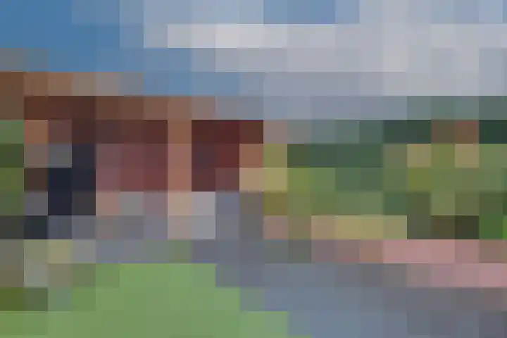 Bingerdenallee 140 Duiven thumbnail 18