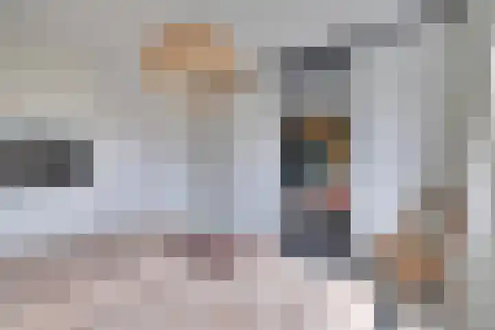 Bingerdenallee 140 Duiven thumbnail 22