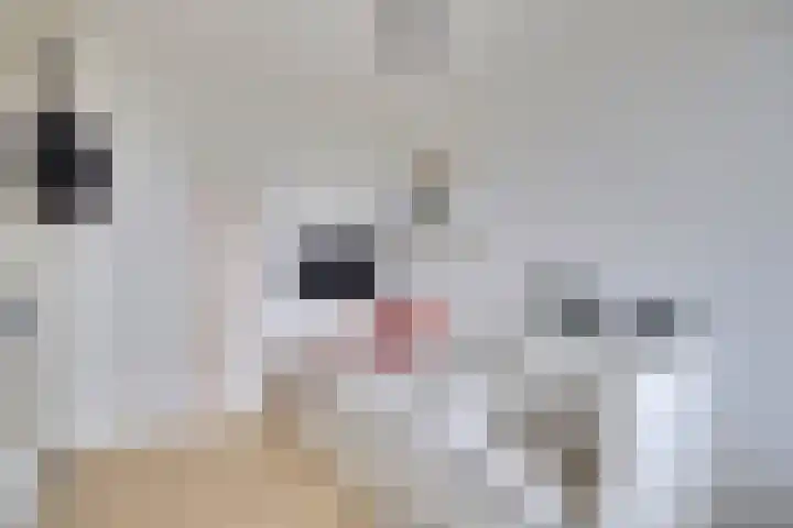 Bingerdenallee 140 Duiven thumbnail 27