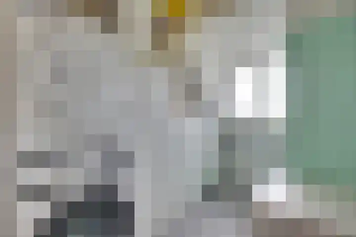 Bingerdenallee 140 Duiven thumbnail 30