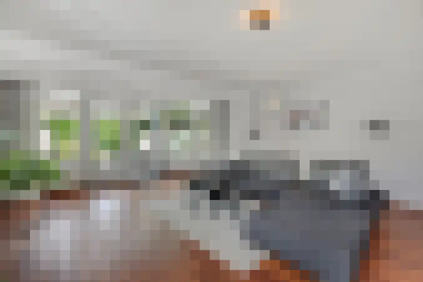 Bingerdenallee 186 Duiven thumbnail 12