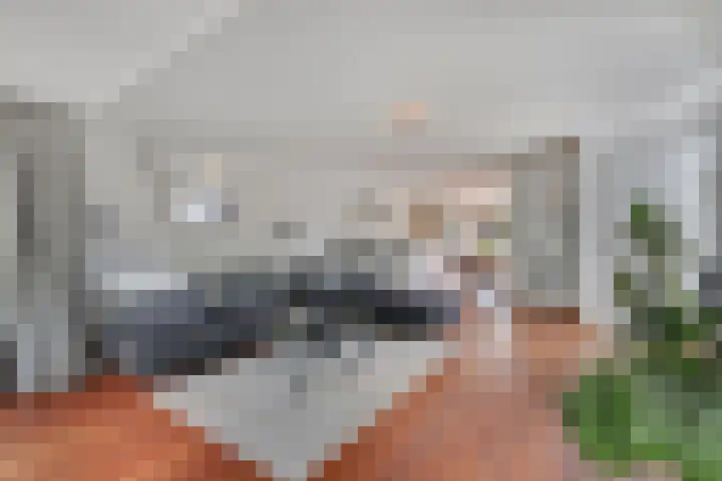 Bingerdenallee 186 Duiven thumbnail 17
