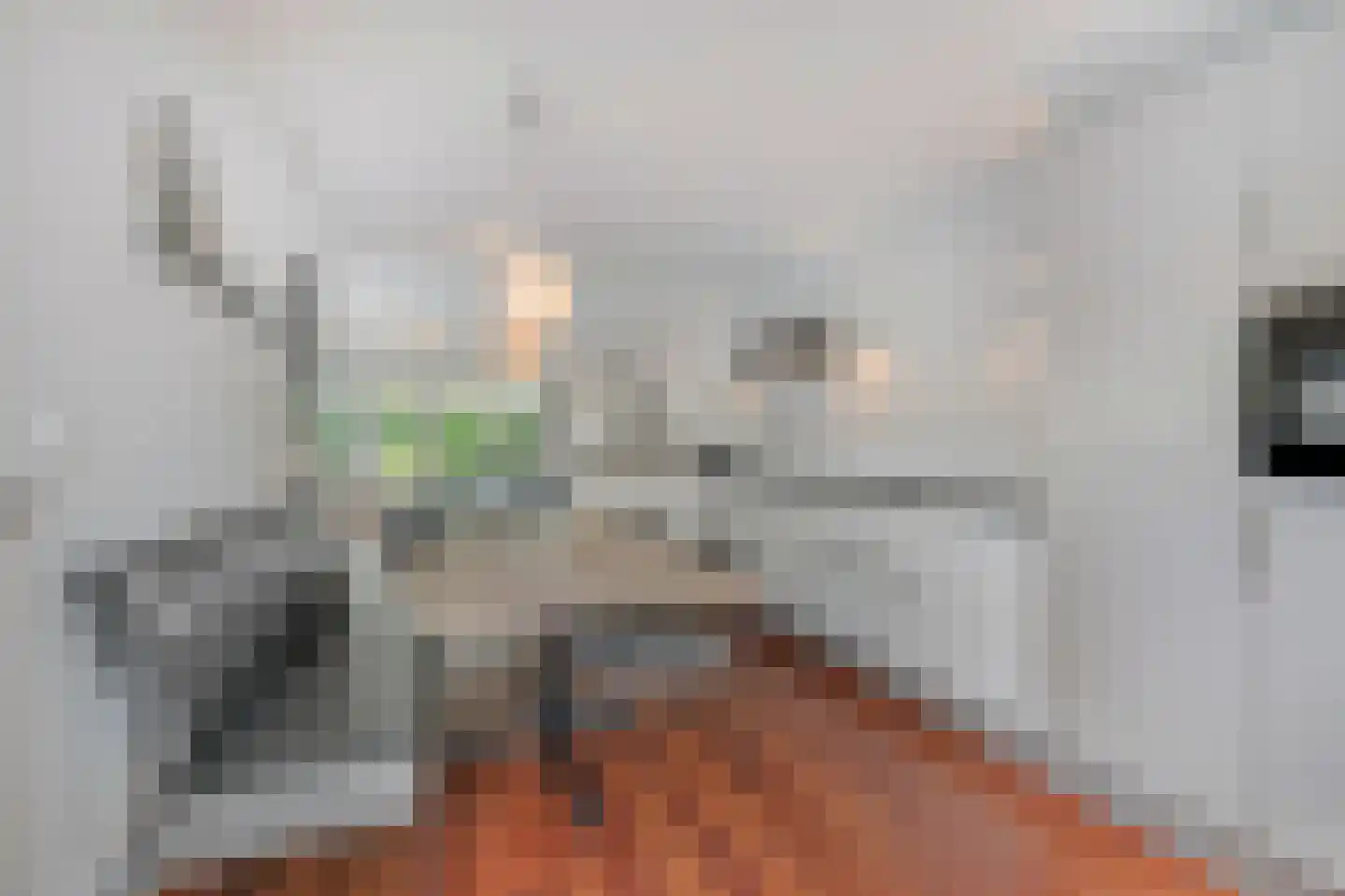 Bingerdenallee 186 Duiven thumbnail 22
