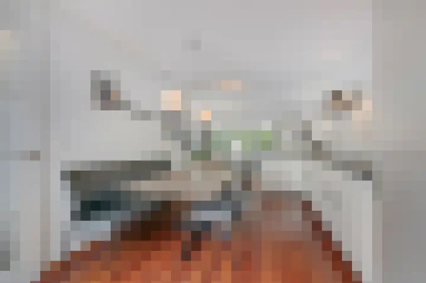 Bingerdenallee 186 Duiven thumbnail 23