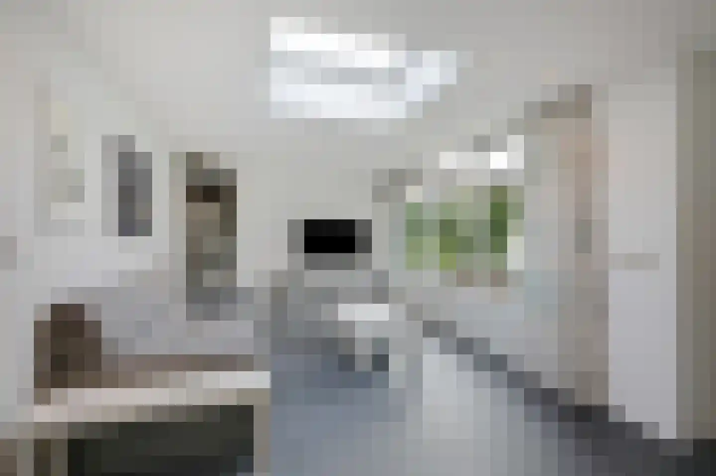Bingerdenallee 186 Duiven thumbnail 26