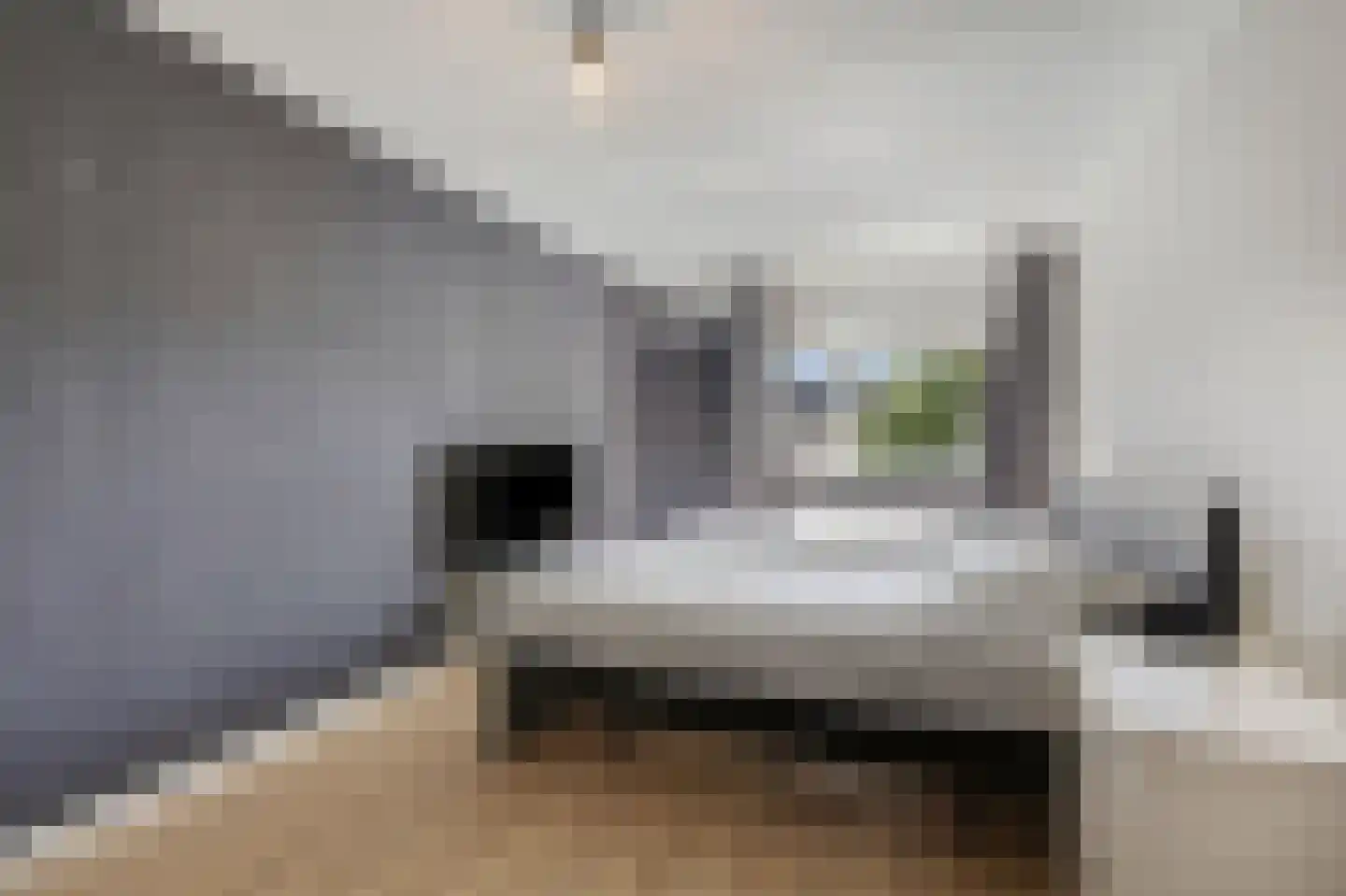Bingerdenallee 186 Duiven thumbnail 33