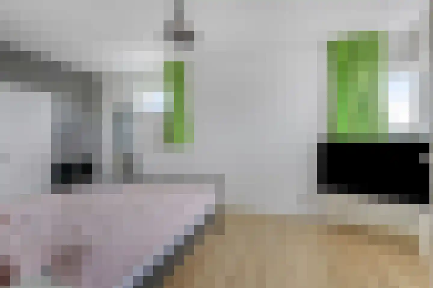 Bingerdenallee 186 Duiven thumbnail 48